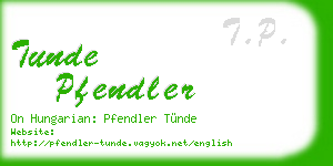 tunde pfendler business card